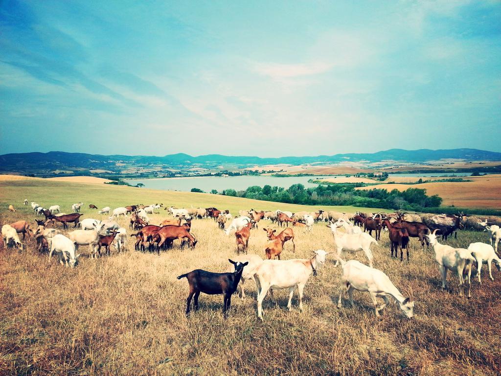 Agriturismo L'Impero Санта-Луче Экстерьер фото