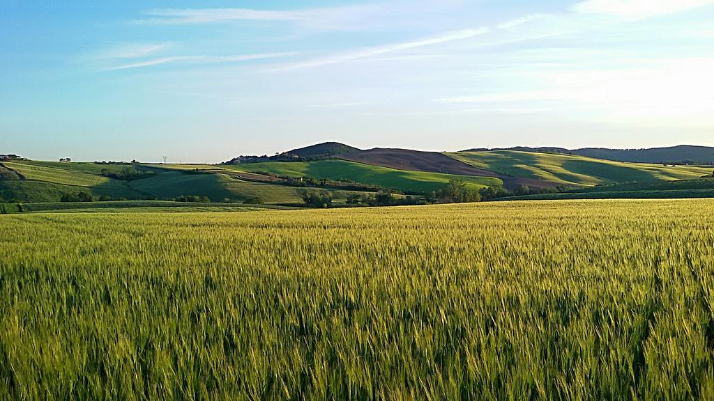 Agriturismo L'Impero Санта-Луче Экстерьер фото