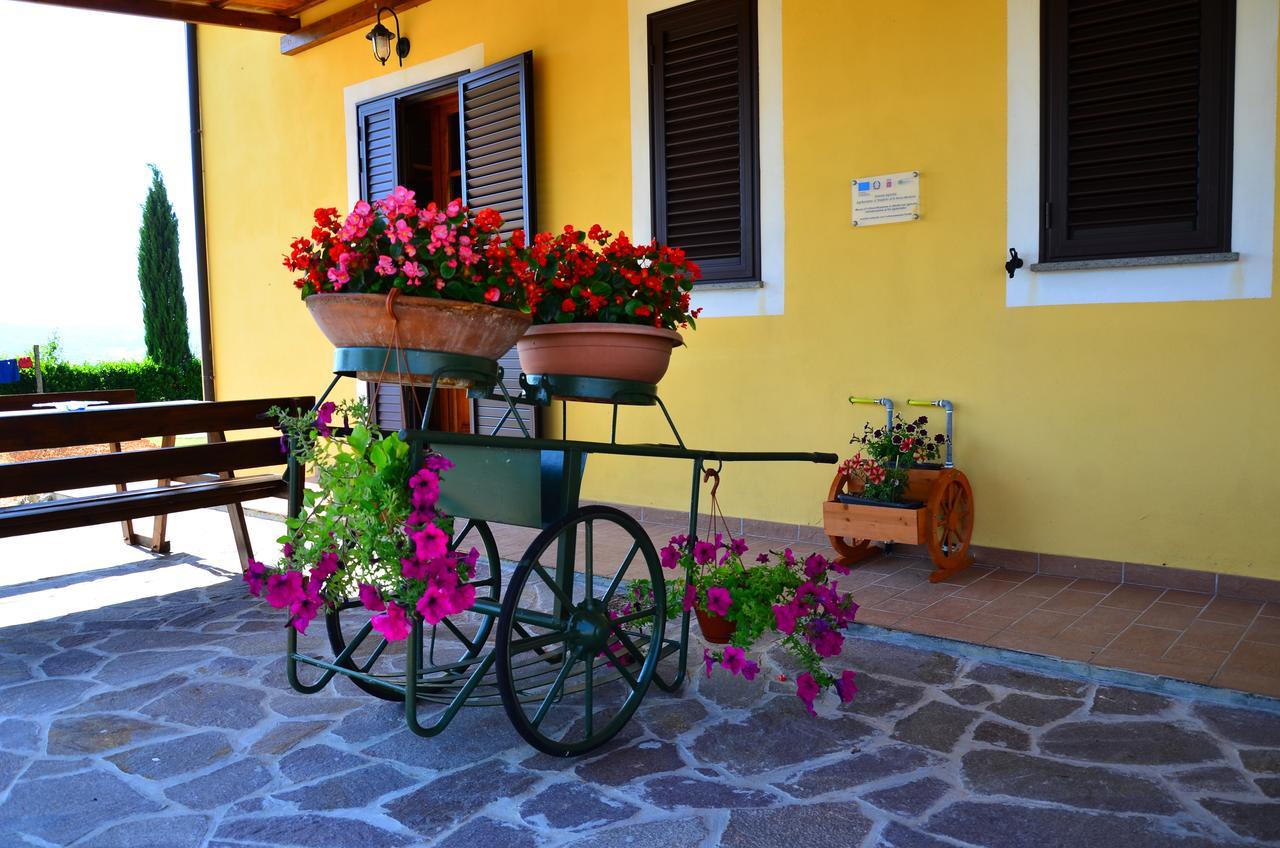 Agriturismo L'Impero Санта-Луче Экстерьер фото